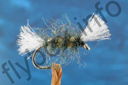 Peacock Shipman's Buzzer